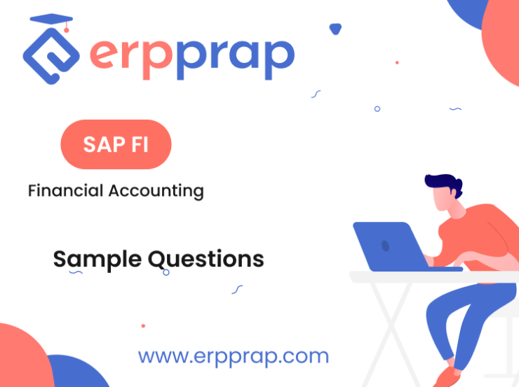 (Sample) SAP Financial Accounting (FI)